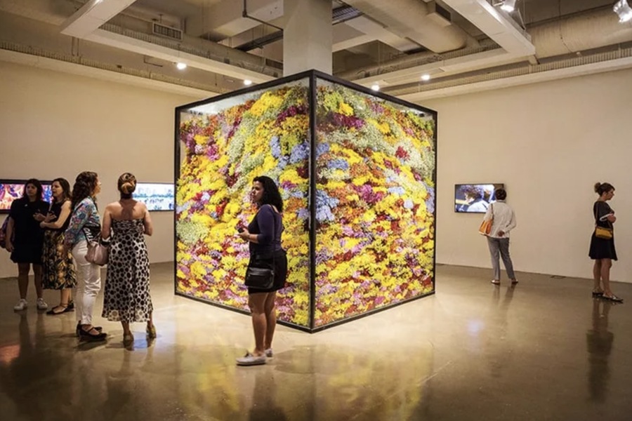 Floral Art Exhibitions in Dubai: Bridging the Gap Between Art and Nature